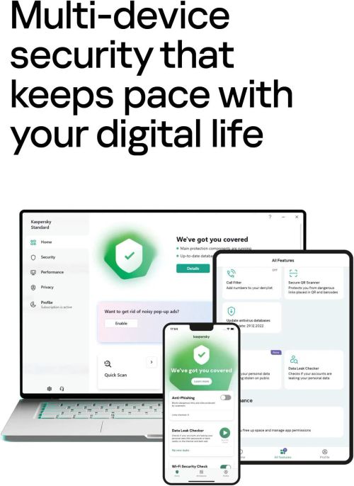 Kaspersky Standard 5 users